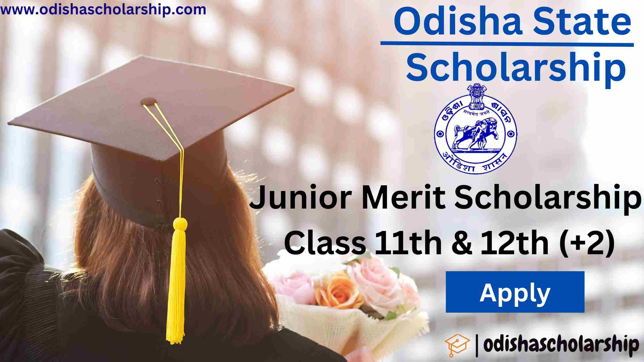 Junior merit scholarship for +2 students